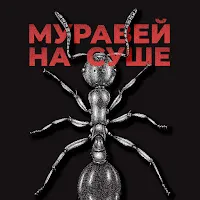 Krbk — Муравей На Суше — обложка